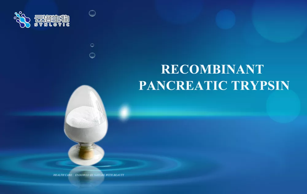 Quel est le rôle des enzymes ?