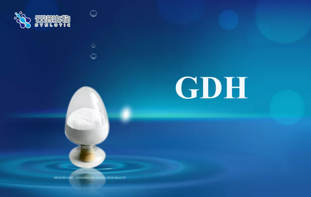 Quels sont les concepts de base des enzymes ?