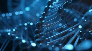 Ergothionéine : « l’or antioxydant » dans l’industrie agroalimentaire