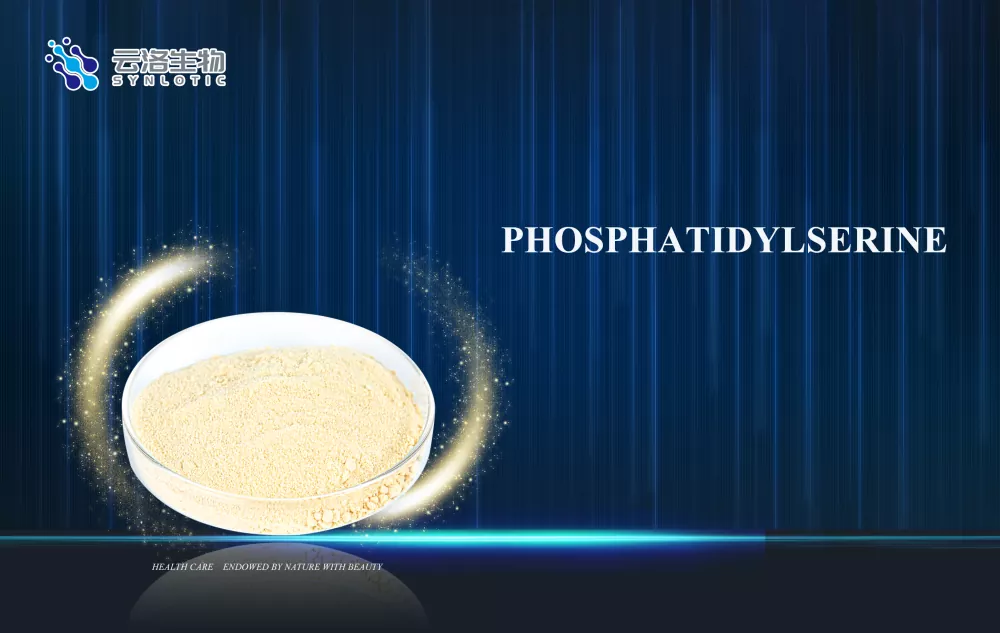 Phosphatidylsérine