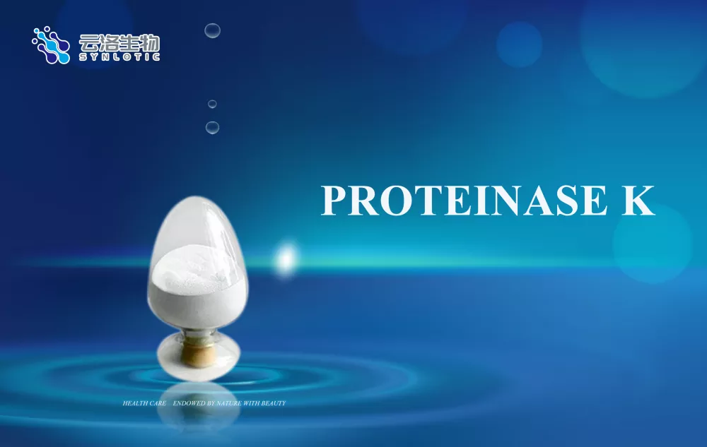 Protéinase k